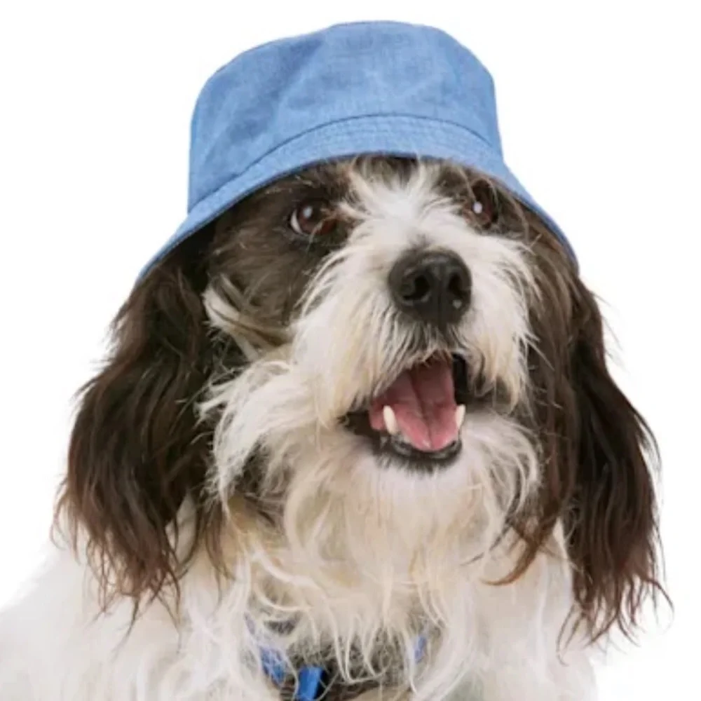 NWT Youly dog bucket hat L/XL